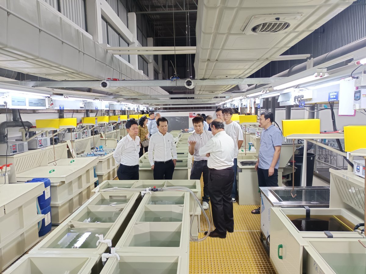 AGJA Visiting LAIYI Production Floor - OEM Jewelry Manufacturing
